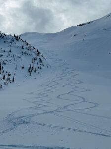 Bear Paw Heliskiing Dezaiko Mountains Ski Tracks
