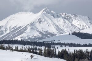 Heli Skiing Montana