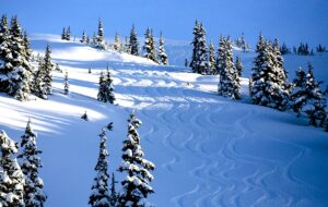 Northern Escape Heli Skiing. Aaron Whitfield Photography.