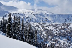 Skeena Heliskiing Expansive Terrain Heli Skier