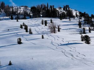 Sweetwater Heli Sweetwater Mountains Powder Terrain